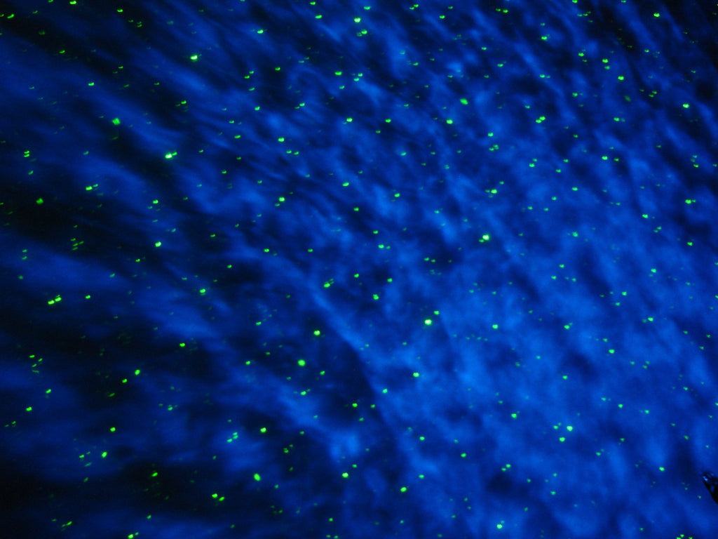 BlissLights Bliss 50 Laser Starfield Projector