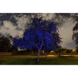 Sparkle Magic Illuminator Blue Commercial Grade Laser Light BLI4-COM