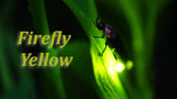 Spectrum Firefly Laser Light with RGB Cosmic Clouds & Bluetooth Speaker (SL-56) SL-56